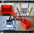 OEM Custom Injection Plastic Beer Bottle Crate Mold